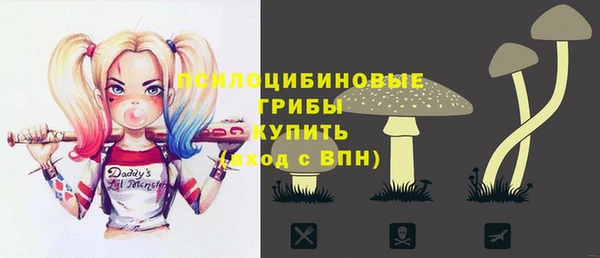 винт Медвежьегорск