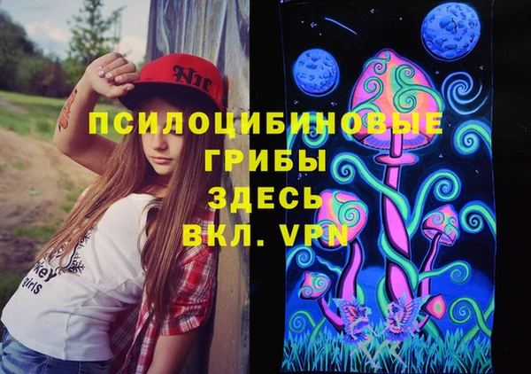 винт Медвежьегорск